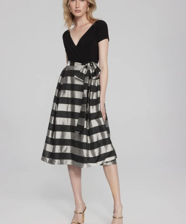 Organza Fit and Flare Dress