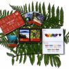 Colorful New Zealand themed memory game with travel photos, game cards, and language learning flashcards laid on green fern leaves.